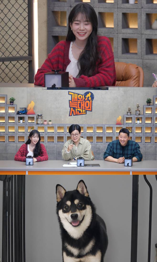 ‘개늑시2’ 분노 주체 불가 흑미 등장 (제공: 채널A)