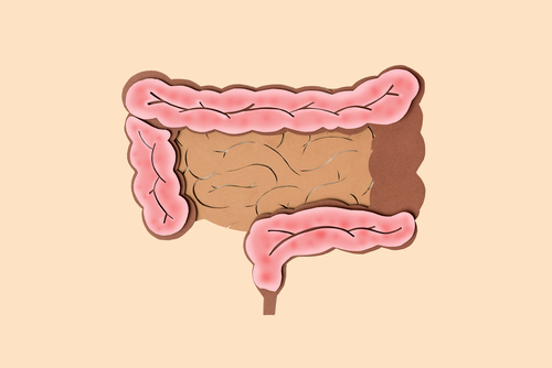 (일러스트 게티이미지뱅크)