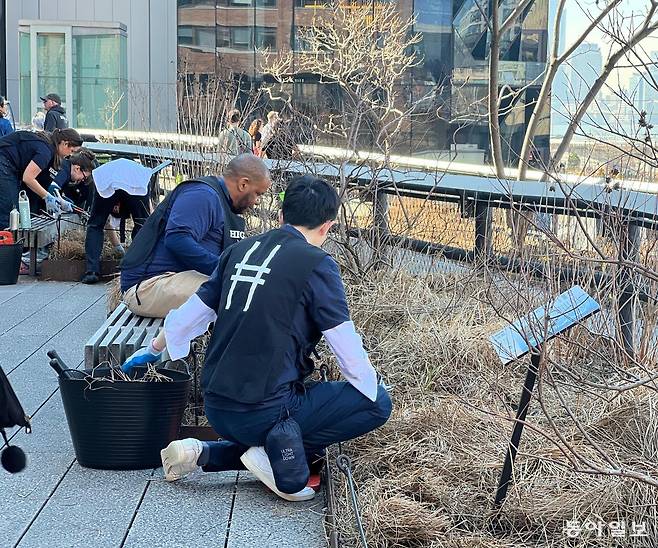 버려진 고가 철도를 ‘공중’의 공원으로 만든 미국 뉴욕 맨해튼의 ‘하이라인’에서 꽃과 나무를 심고 있는 자원봉사자들. 많은 뉴욕 시민들이 더 좋은 공원을 만들기 위해 다양한 자원봉사에 나선다. 
뉴욕=임우선 특파원 imsun@donga.com