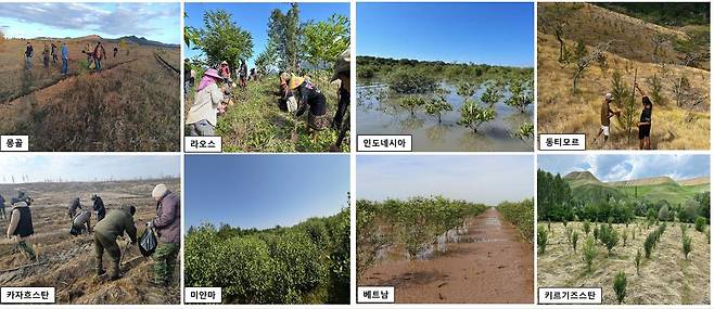 아시아산림협력기구(AFoCO)가 회원국에서 펼치고 있는 산림 복원 사업 현장. 아포코 제공