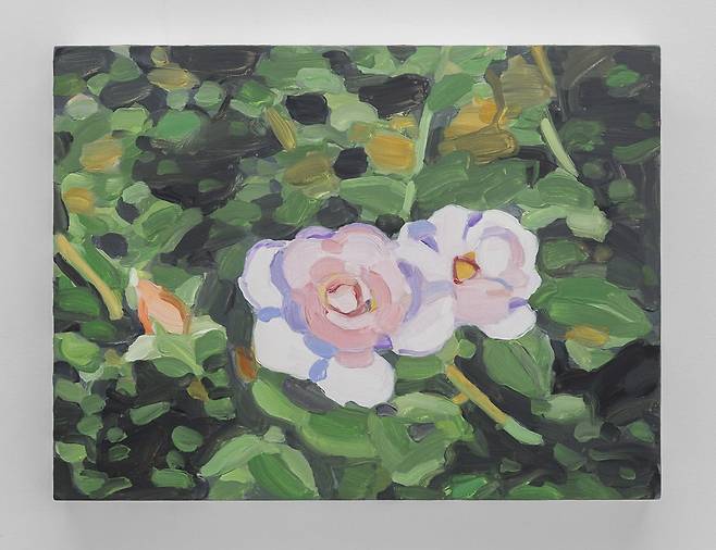 Pink Roses, Dark(2024). 9 x 12 inches (22.9 x 30.5 cm) © Maureen Gallace Courtesy of the artist and Gladstone