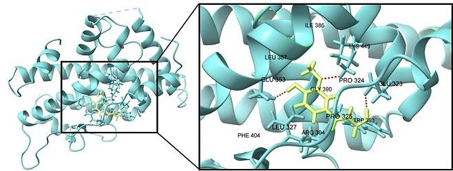 &nbsp;AI 분자 모델링 기술을 활용한 ‘페룰릭산’&nbsp;효능 실험. LG생활건강 제공