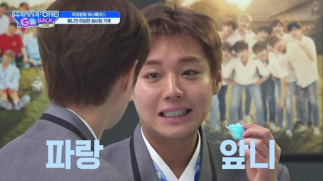 7년 만에 돌아온 워너원이 첫 방송부터 글로벌 팬심을 단숨에 사로잡았다./사진=엠넷 방송 화면 캡처