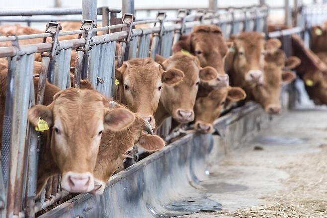 (사진 클립아트코리아)/뉴스펭귄