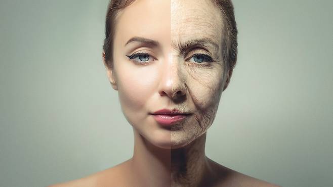 얼굴 노화 속도가 암 환자의 예후 지표로 활용될 수 있다｜출처: 클립아트코리아