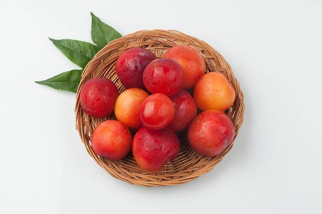 자두에는 항산화 플라보노이드의 일종인 안토시아닌이 풍부하게 들어있다. 안토시아닌은 만성 질환을 예방하는 데 도움이 된다. 사진=게티이미지뱅크