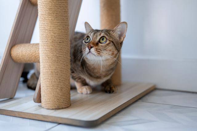 게티이미지뱅크