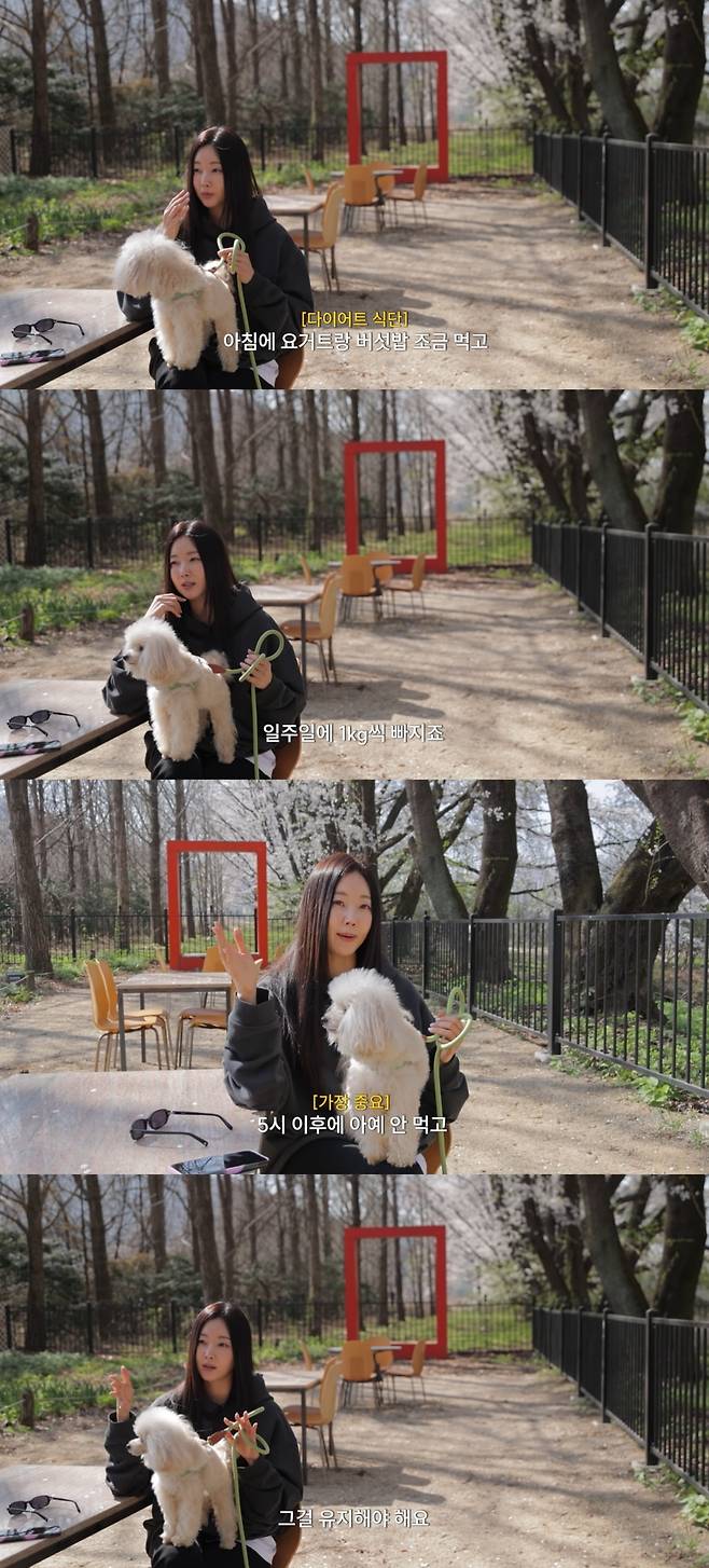 /사진=김사랑 유튜브