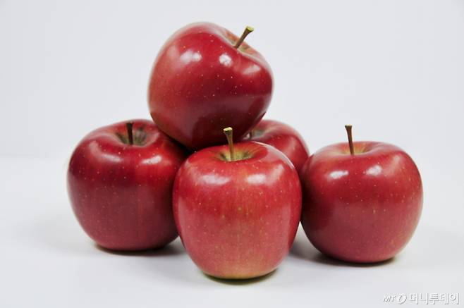 국산 사과품종 '컬러플' /사진=농촌진흥청