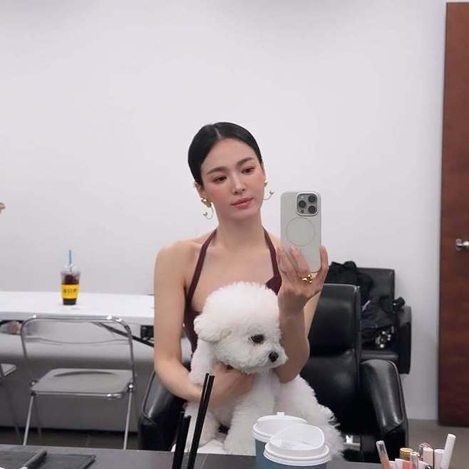 송혜교 소셜미디어