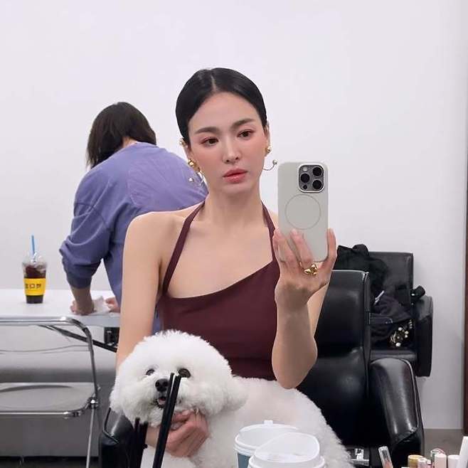 송혜교 소셜미디어