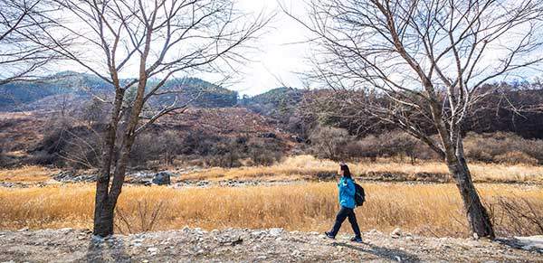48구간은 운곡천 벚꽃길을 따라 시작된다.