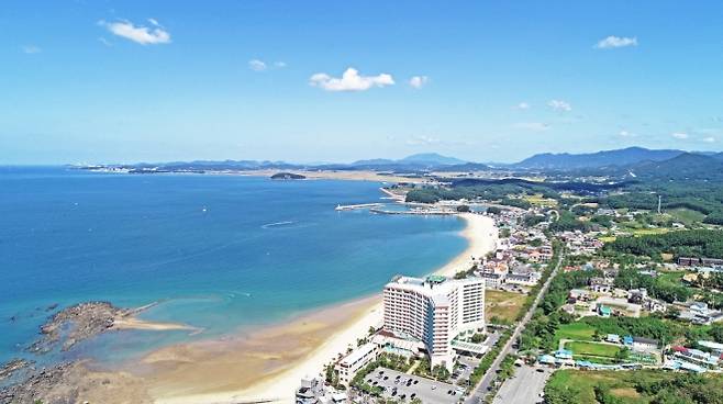 충남 보령 무창포 해수욕장 전경. 보령시 제공