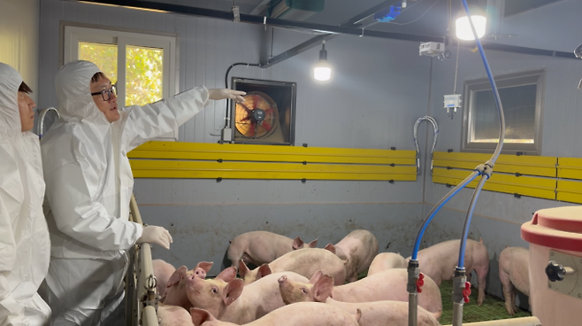 사전 연구 사례인 공주대 스마트 축산 테스트베드 돼지 사육 환경 사진. ETRI 제공