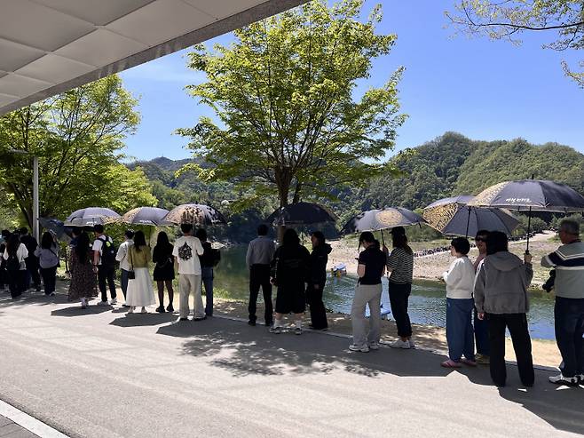 ▲ 청령포 방문객들이 도선 대기 시간에 양심우산을 쓰면서 따가운 햇살을 피하고 있다.