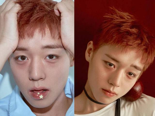 박지훈 / 박지훈 소셜미디어