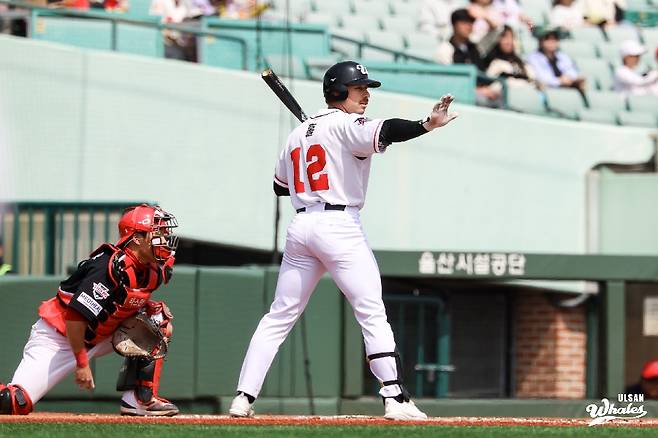 ▲ 알렉스 홀 ⓒ울산 웨일즈