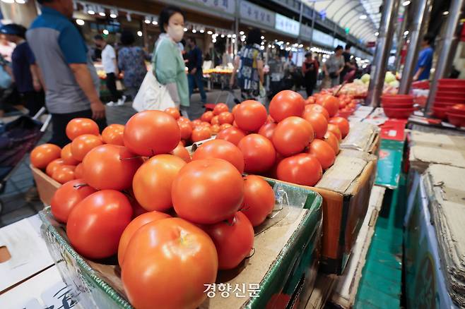 서울 동대문구 청량리청과물시장의 한 가계에 토마토가 진열돼 있다. 성동훈 기자