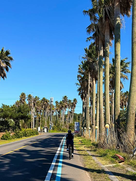 Riding through the palm trees to the east of Seogwipo on April 4. The southeast of the island is especially wild, but also very exposed when the winds pick up. [JIM BULLEY]