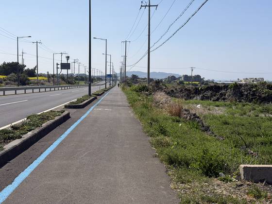 A painted blue line keeps cyclists on track in Jeju on April 5. [JIM BULLEY]