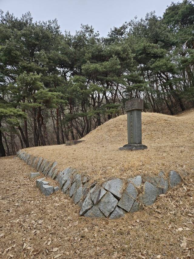 대구의 제2대 의병장 모당 손처눌의 묘소는 대구시 수성구 무학산에 있다. 최미화 기자