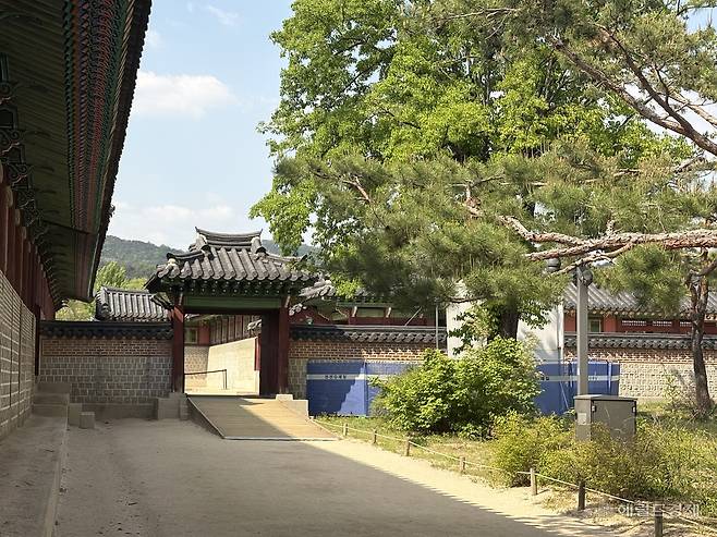 화재가 발생한 자선당 삼비문으로 향하는 길도 막혀 있는 모습이다. 정주원 기자