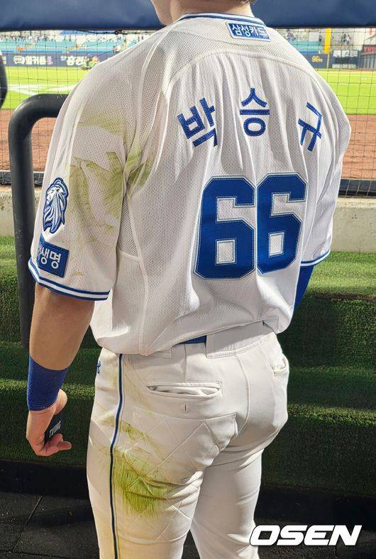 OSEN DB