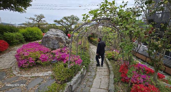 장미정원. 정원 뒤로 바다가 보인다. (사진=김준원 기자)