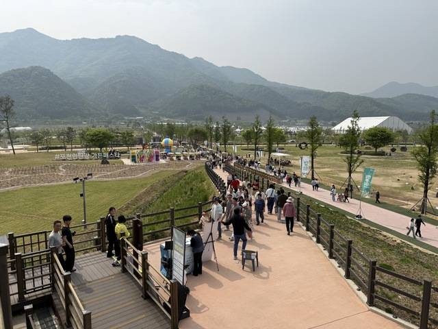 현장을 지켜본 한 축제 전문가는 “꽃 축제에 꽃이 없다면 이는 본질을 잃은 것”이라며 “기상 여건으로 개화가 늦어졌다면, 만개 시점까지는 ‘가오픈’ 형태로 운영해 무료 입장을 실시하거나, 정식 개장일을 늦추는 유연한 대처가 필요했다”고 제언했다. 사진=박성용 기자