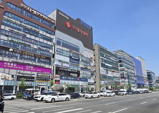1일 오후 불당동 천안 시청 앞 사거리에 차량들이 길게 늘어서 있다. 박하늘 기