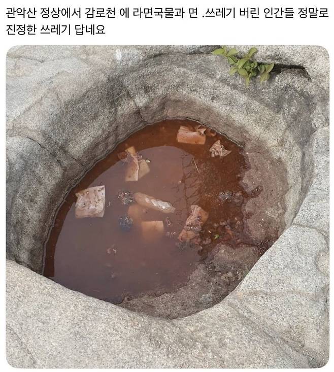 관악산 정산 감로천 옆 웅덩이에 라면국물과 각종 쓰레기를 버린 모습 ./사진=온라인 커뮤니티 캡처