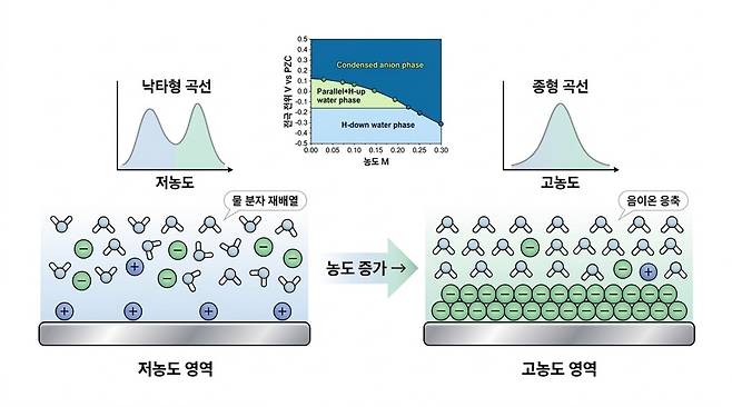 전기 이중층 구조 변화로 나타나는 ‘낙타형→종형’ 곡선 전이