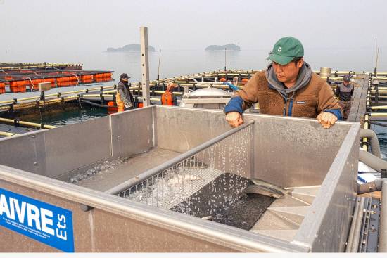 어류 자동 선별기를 관찰하고 있는 양종혁씨.