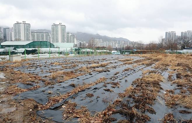 수도권 내 한 농지. [제공=연합뉴스]