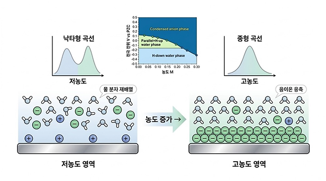 전기 이중층에서 전해질 농도가 증가하자 전기용량 그래프 곡선이 낙타형에서 종형으로 전이됐다. 출처=KAIST