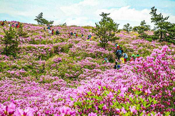 제공 보성군청