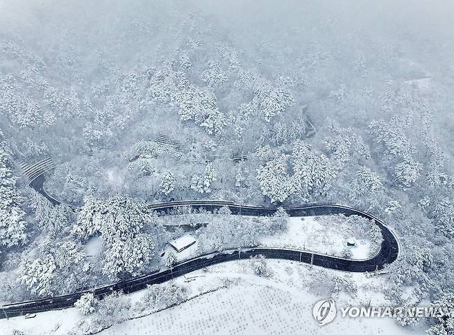구룡령 옛길 [연합뉴스 자료사진]