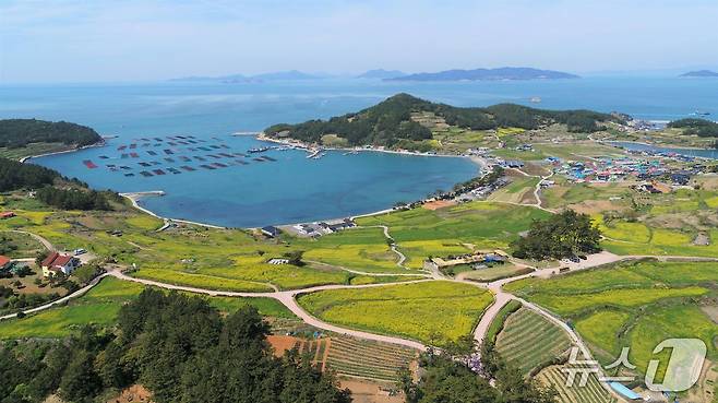 서편제길에서  바라본 오른쪽 도락리 풍경.  유채꽃과 청보리, 파란색  바다가  잠이라도 든 듯 평화롭다.  가운데 바다는 어촌계에서 운영했던 어촌 체험장인데  코로나 이후 중단됐다.(완도군청 제공)