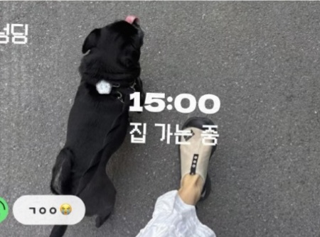 사회관계망서비스(SNS) 앱 ‘셋로그’ 소개 이미지 [애플 앱스토어 등록 공식 이미지]