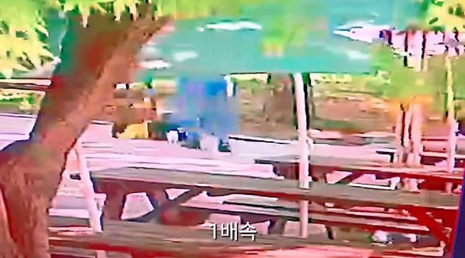 인천 부평 한 공원에서 A씨에게 폭행당해 쓰러진 B군. 피해자 부모 측 SNS 캡처