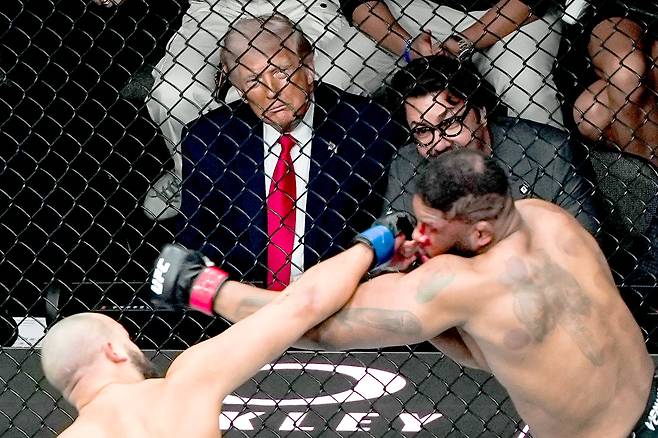 도널드 트럼프 미국 대통령이 지난달 11일 플로리다주 마이애미에서 종합격투기 UFC 경기를 관람하고 있다. 마이애미=AP 뉴시스