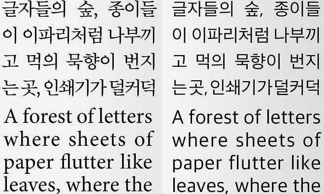왼쪽은 명조와 세리프체, 오른쪽은 고딕과 산세리프체. 유지원 제공