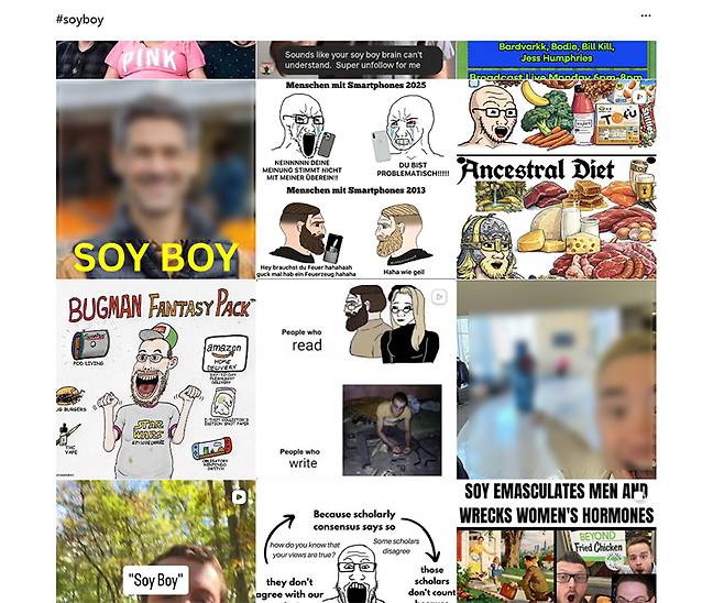 인스타그램의 #SOYBOY 게시물들, 주로 대상을 희화화하는 게시물들이다