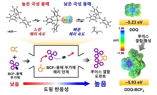 용매의 극성에 따른 루이스 페어 도펀트의 형성 메커니즘. 좌측 상단은 용매 극성에 따라 BCF와 용매 부가체의 해리 속도가 달라지는 모습을 보여준다. 좌측 하단은 이 해리 과정이 루이스 페어 도펀트 형성 속도를 결정하는 과정을 나타낸다. 우측은 DDQ와 BCF가 루이스 페어를 이루면 도핑 세기가 크게 증가하는 변화를 전자 밀도와 에너지 준위로 보여준다. 한국연구재단