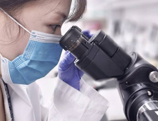 시장이 네오이뮨텍을 단순 저가주로만 보지 않는 배경에는 별도 악재가 존재한다. 주가 부진 이면에 핵심 파이프라인 신뢰 불확실성이 자리하고 있기 때문이다. [출처=네오이뮨텍]
