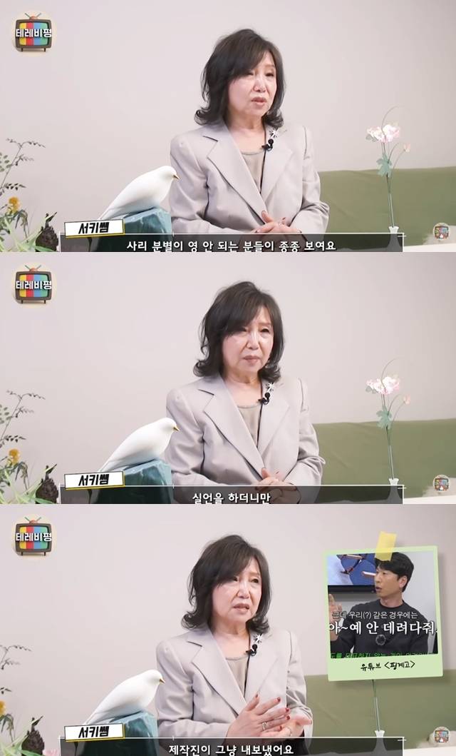 사진=채널 ‘정석희 텔레비전평’
