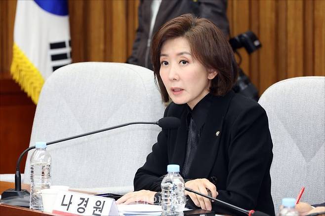 나경원 국민의힘 의원 ⓒ데일리안 홍금표 기자