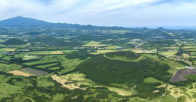 제주 동부지역 오름 군락이 분화구 형태의 굼부리 지형을 드러내고 있다. 제주도는 국·공유지 오름 27곳에서 차마 출입과 취사·야영을 제한해 정상부와 사면 훼손을 막기로 했다. /사진=뉴시스