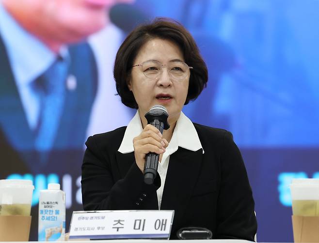 추미애 더불어민주당 경기도지사 후보. /뉴스1
