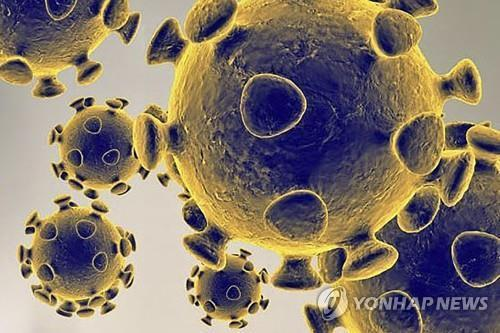 [연합뉴스]